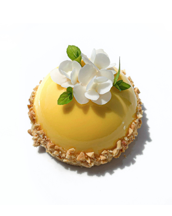 Mango Bloom